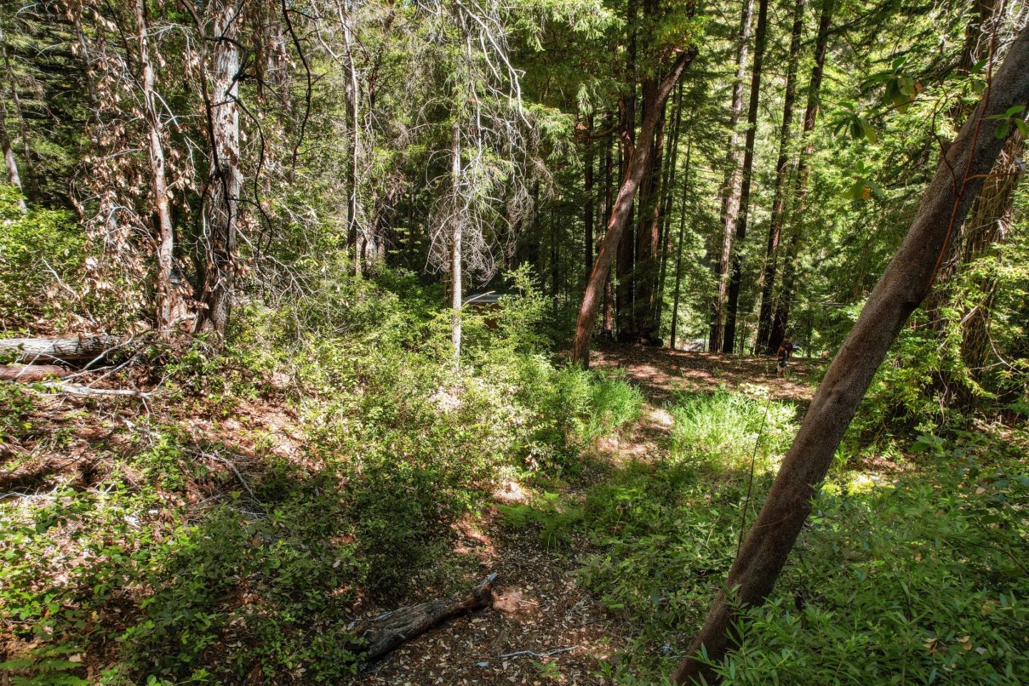 Lot 25 Logan Creek