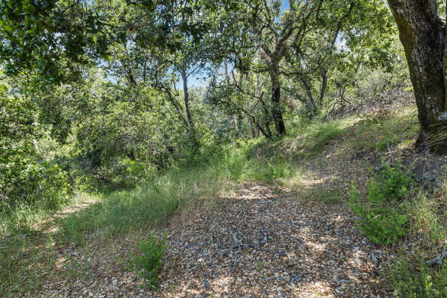 APN 11 Bear Canyon Road