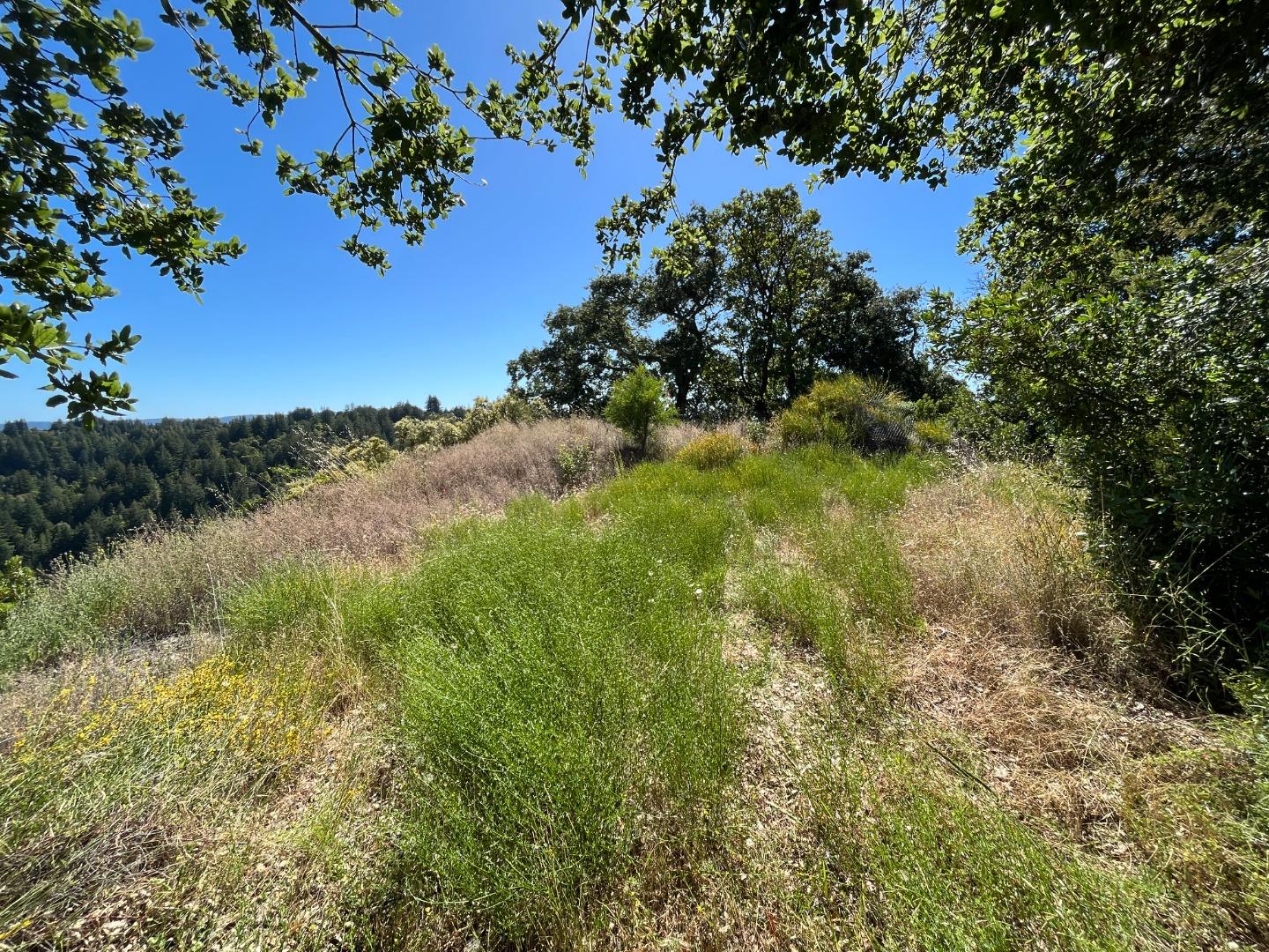 APN 11 Bear Canyon Road
