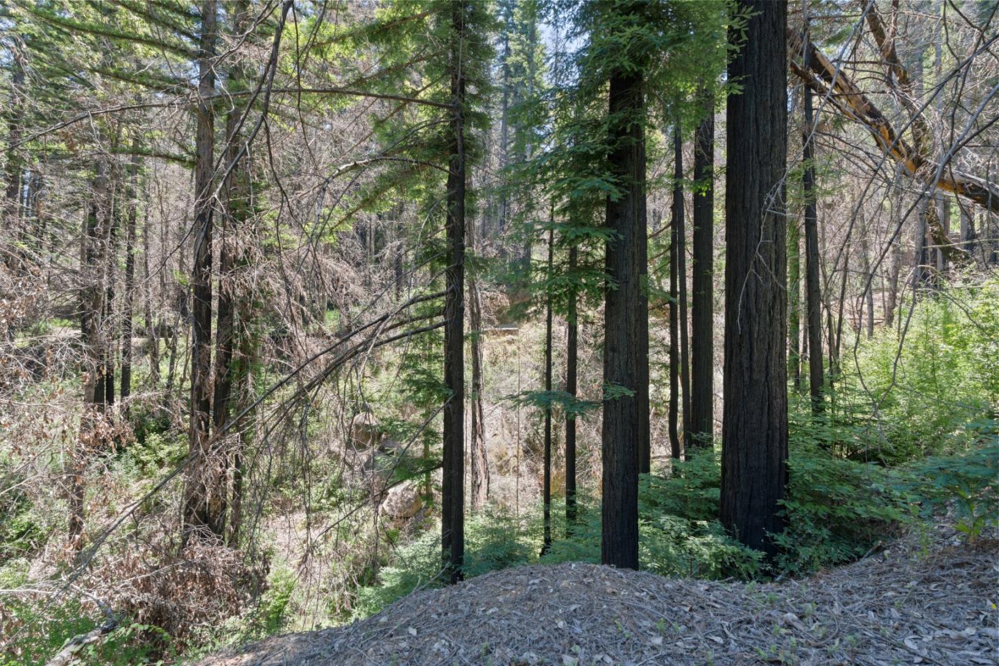 Lot 07 Pondview