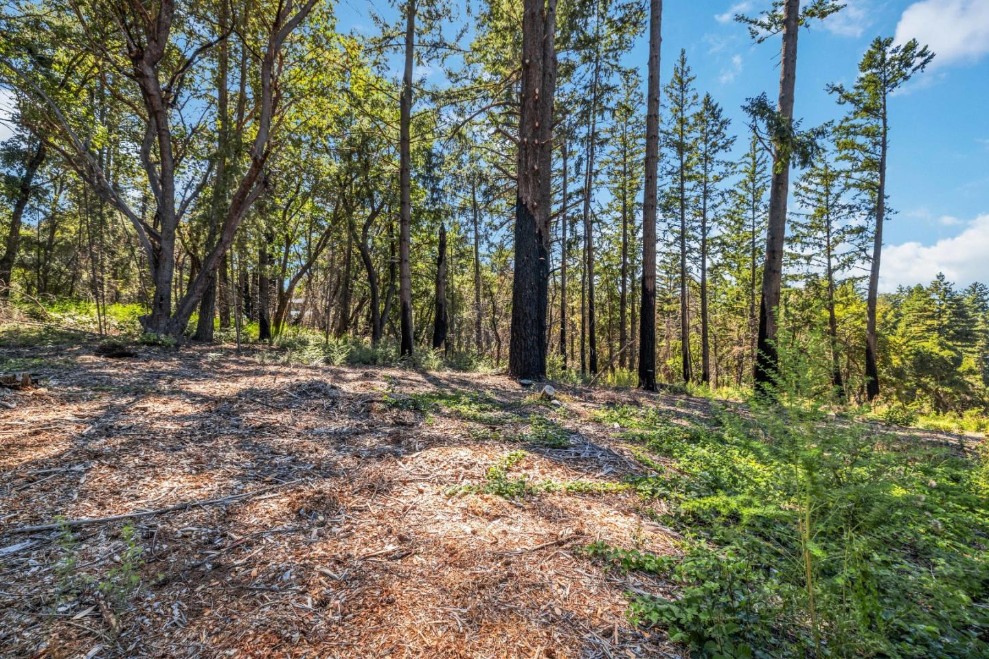 Lot 11 Vick Drive