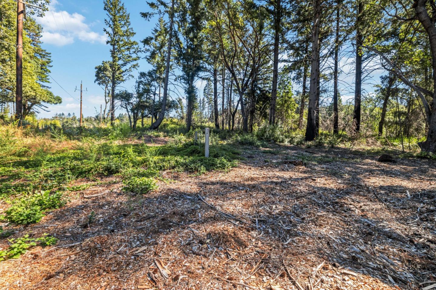 Lot 11 Vick Drive