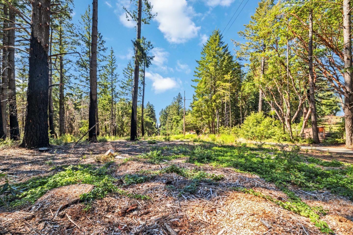 Lot 11 Vick Drive
