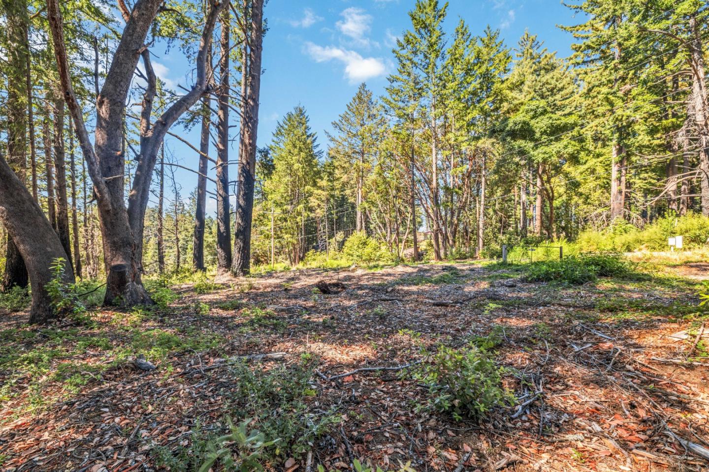 Lot 11 Vick Drive