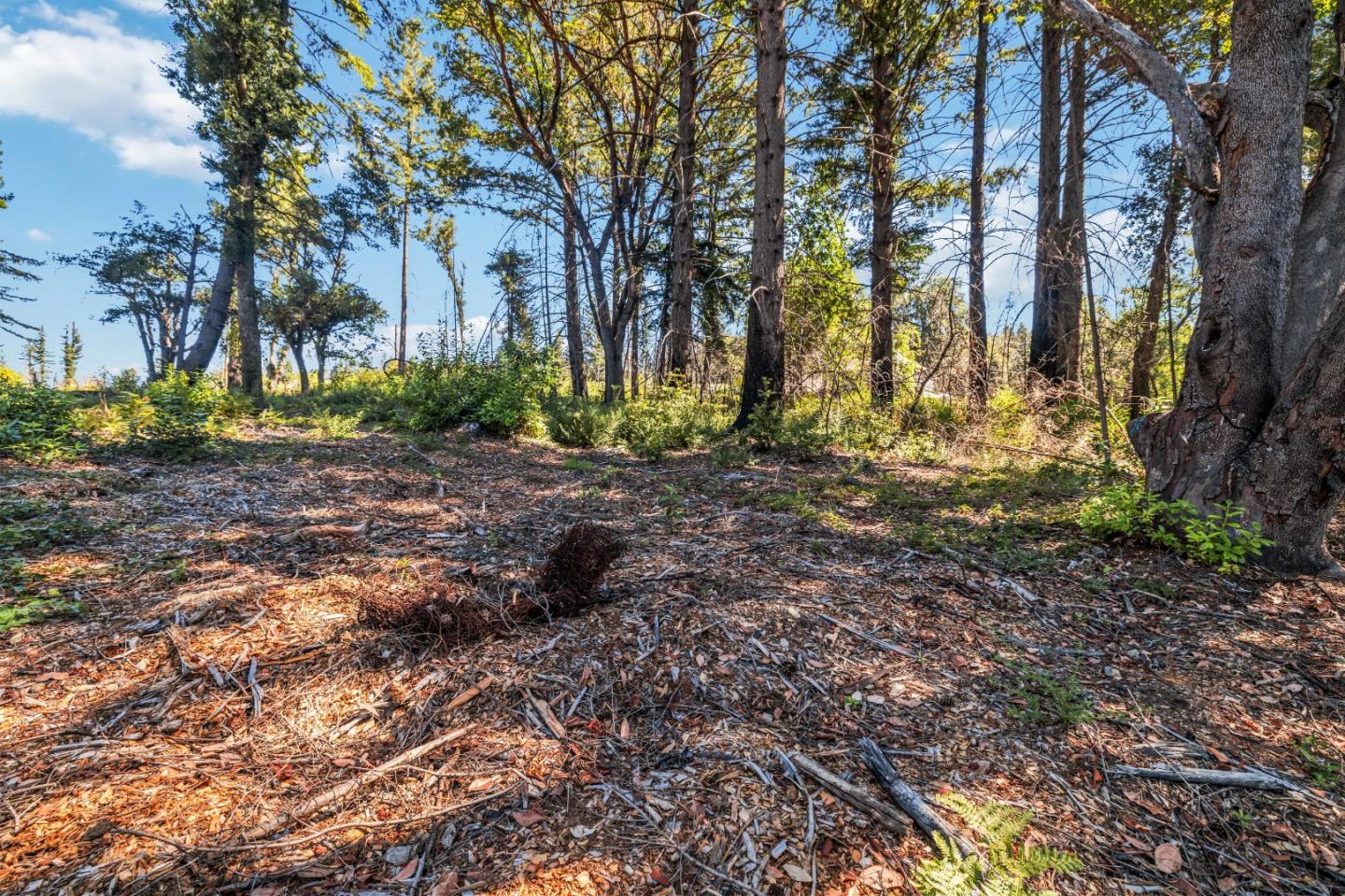 Lot 11 Vick Drive