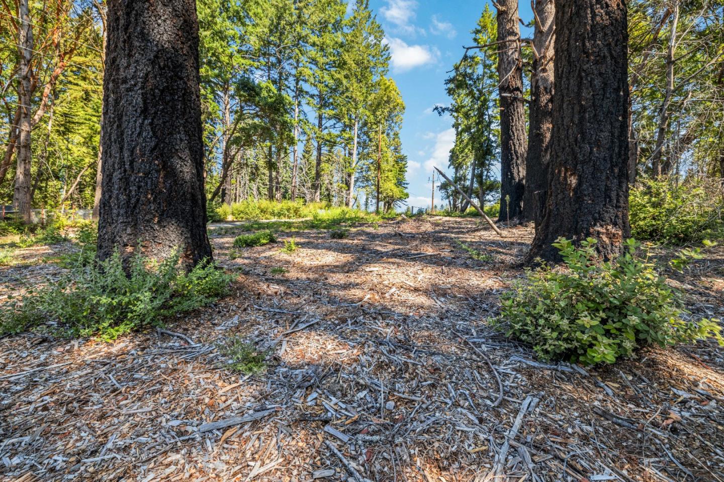 Lot 11 Vick Drive