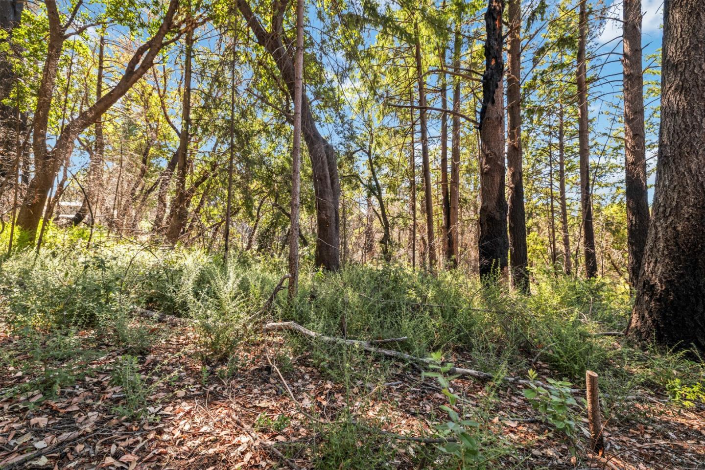 Lot 11 Vick Drive