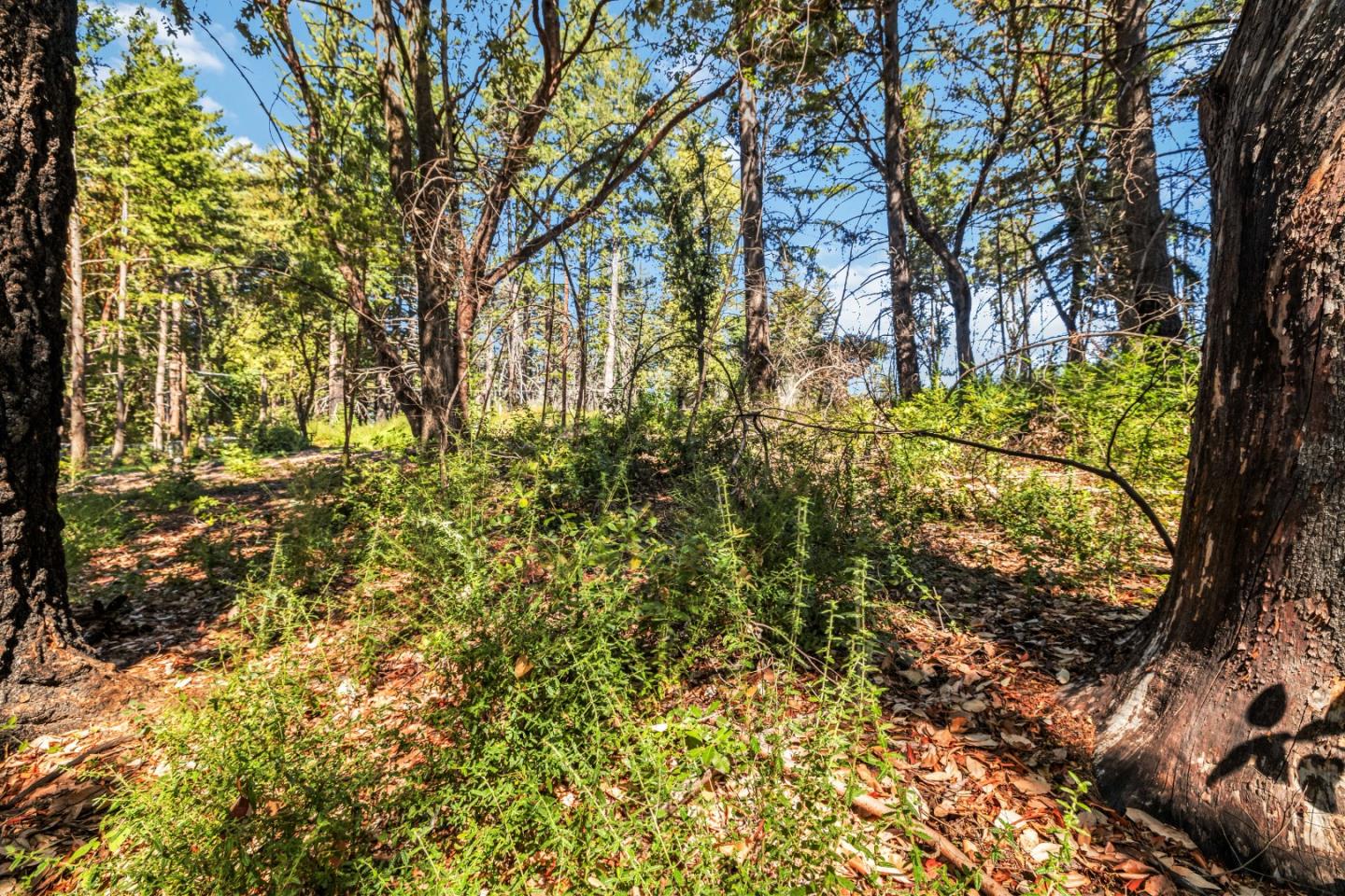 Lot 11 Vick Drive