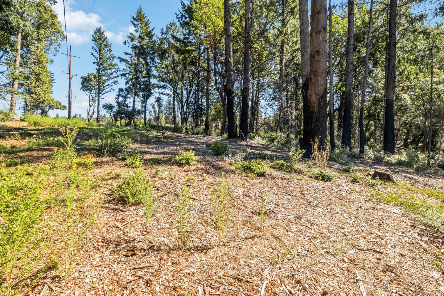Lot 11 Vick Drive