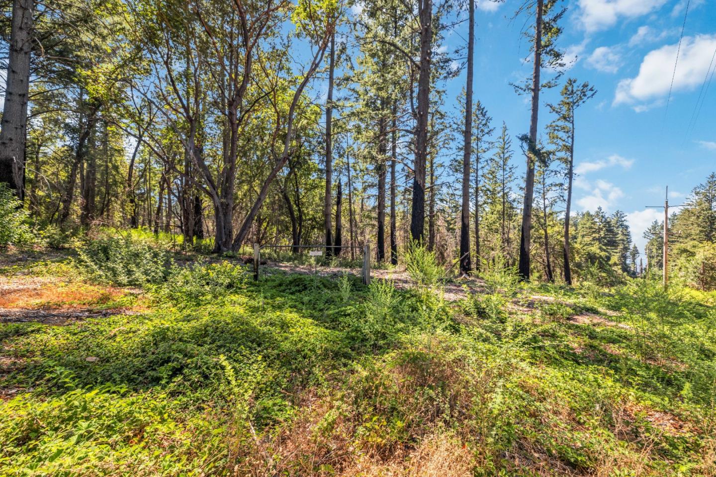 Lot 11 Vick Drive