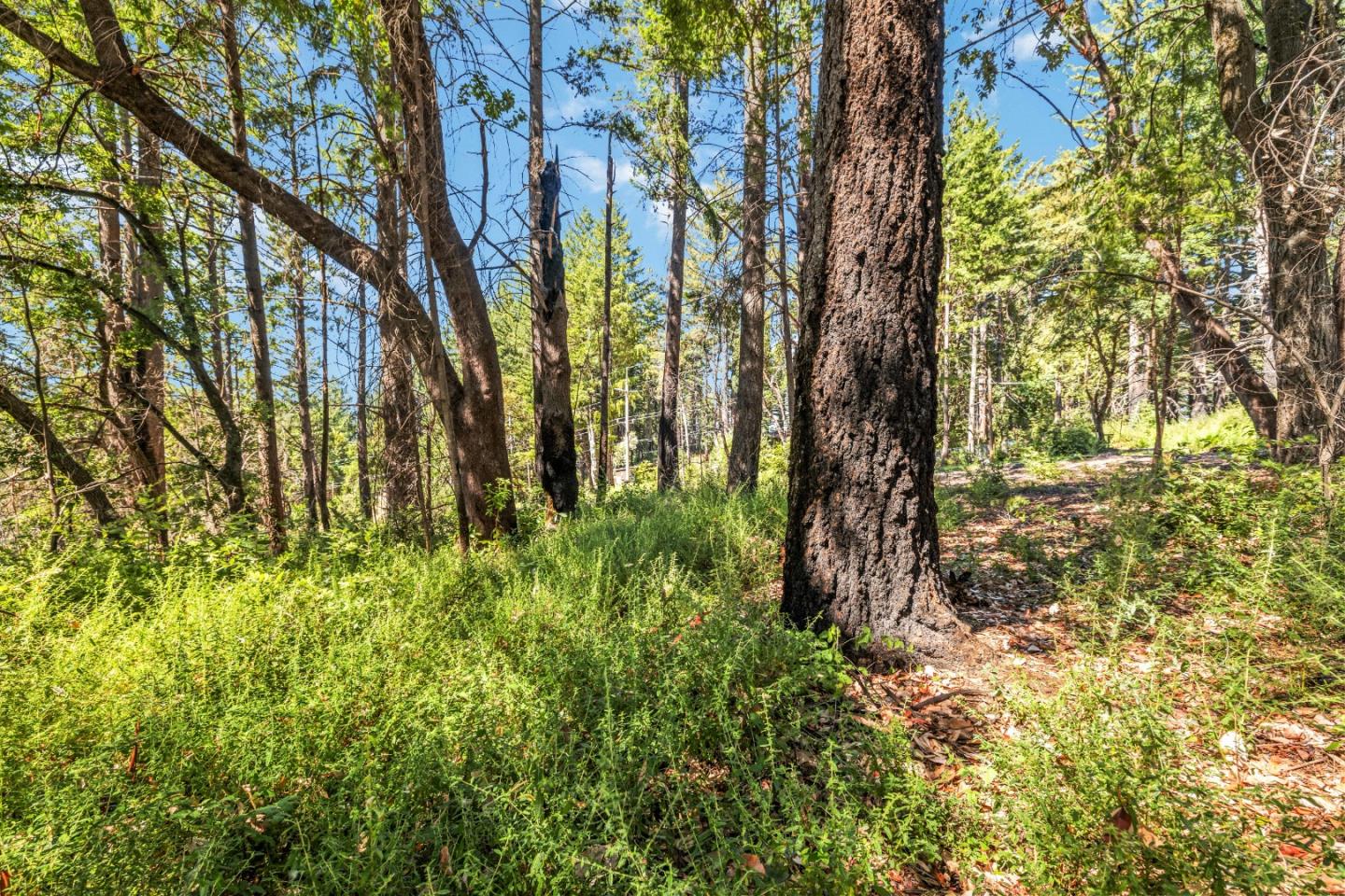 Lot 11 Vick Drive