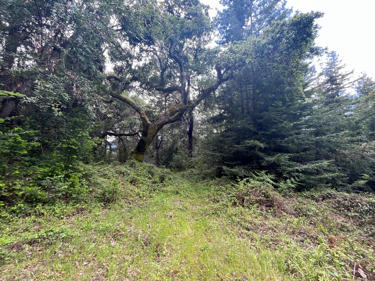 0 Highland Drive