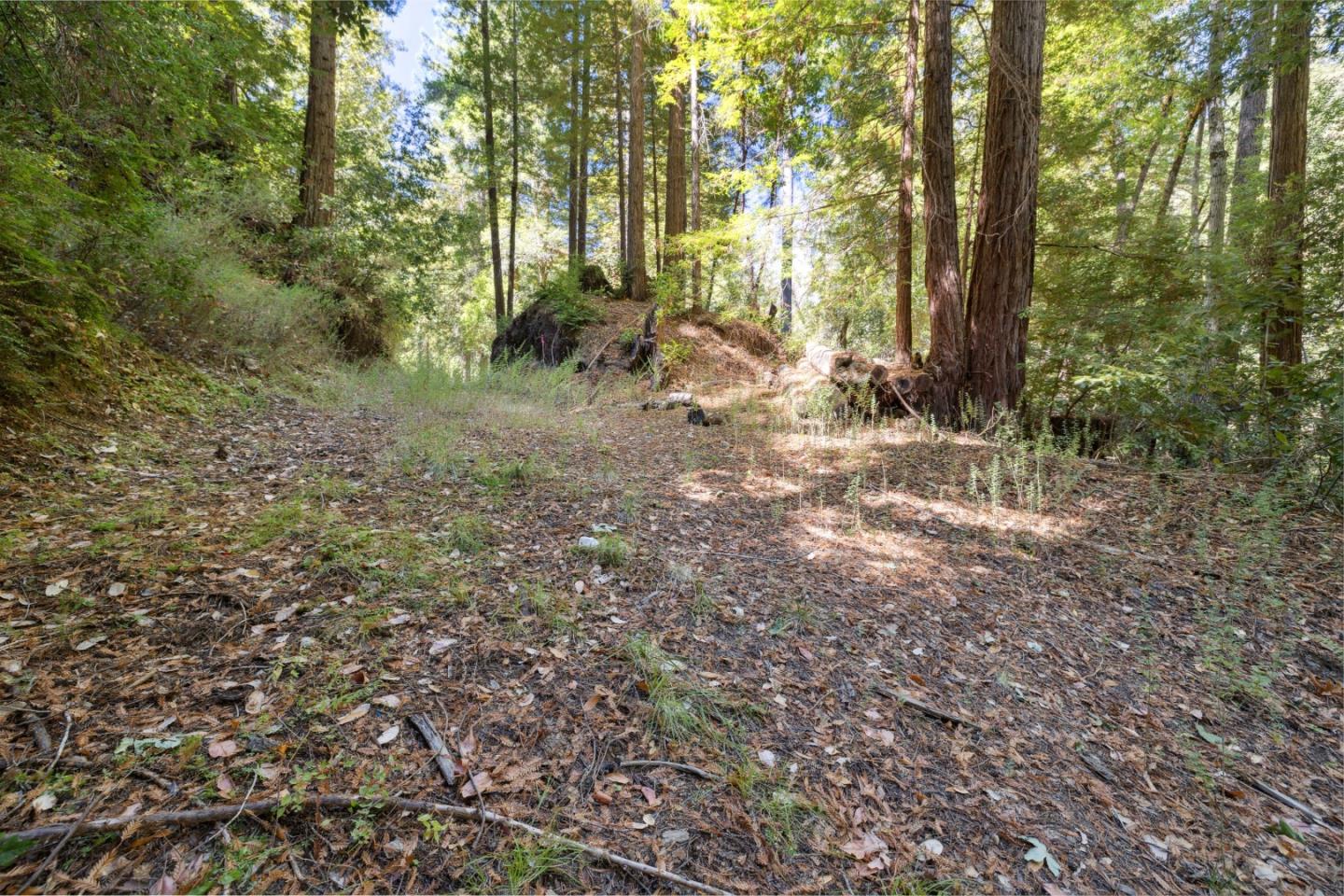18880 Highway 9