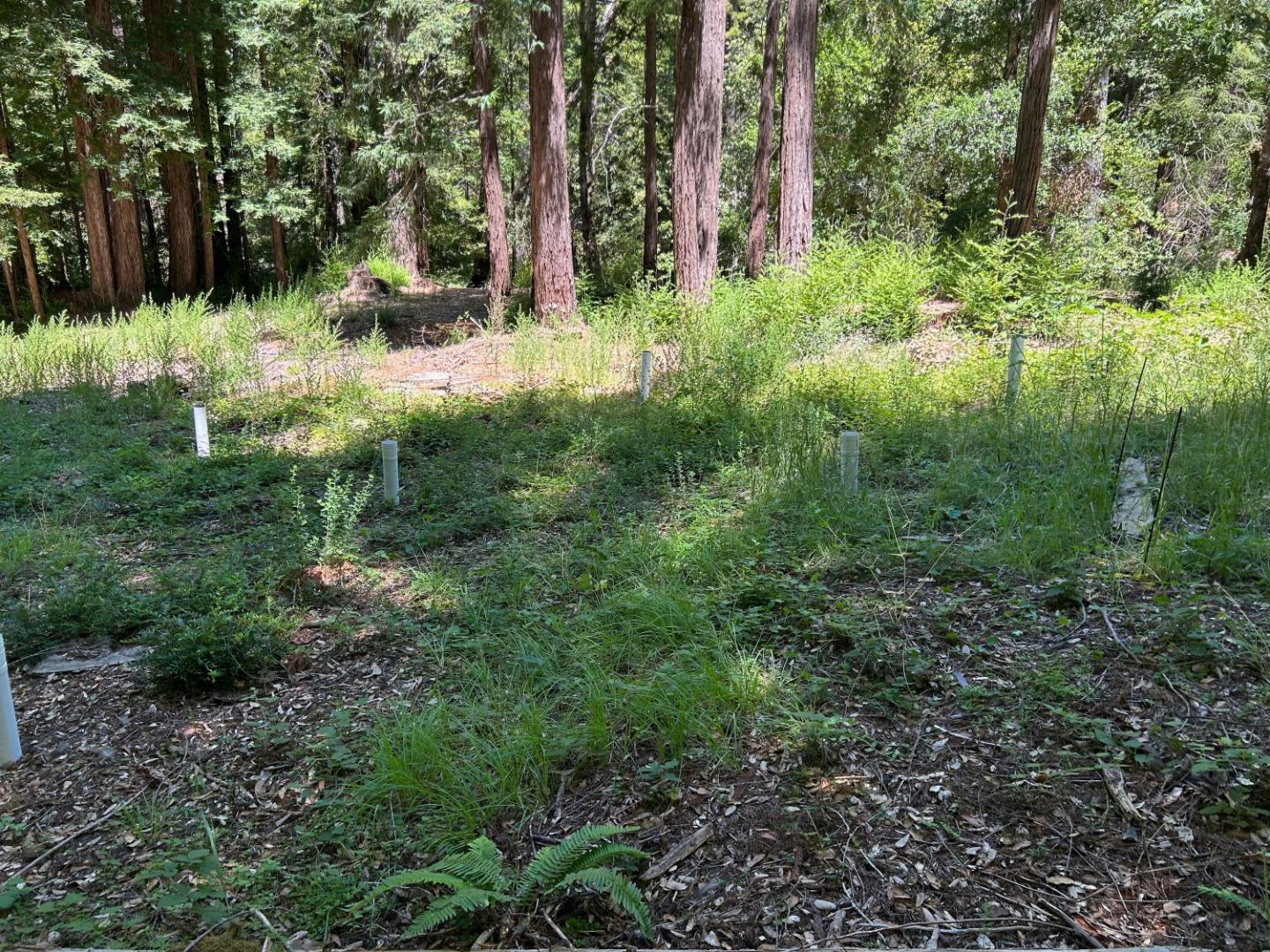 18880 Highway 9