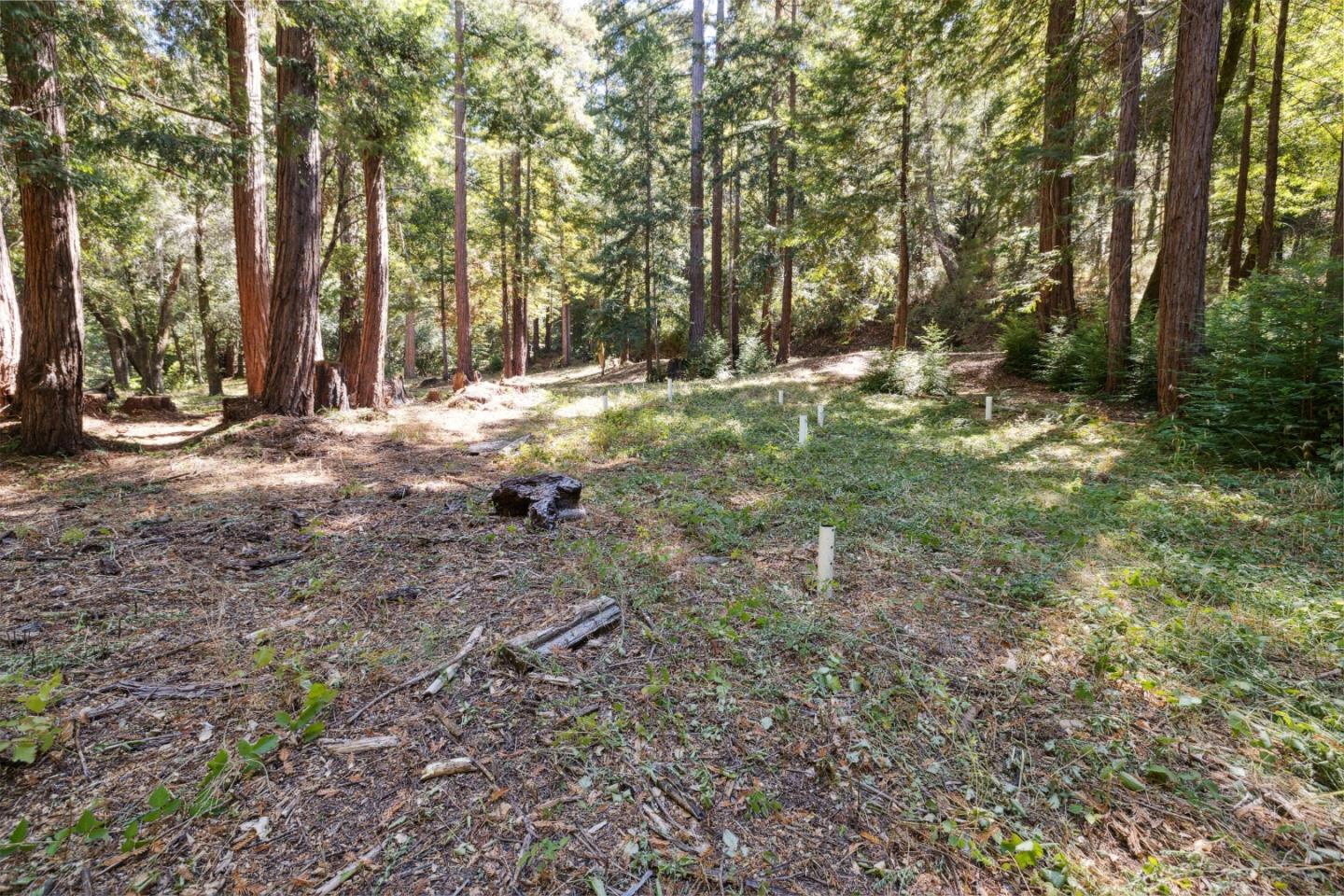 18880 Highway 9