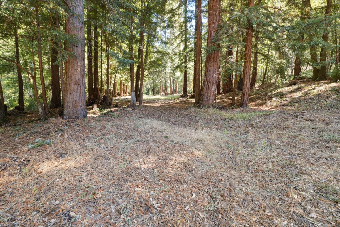 18880 Highway 9