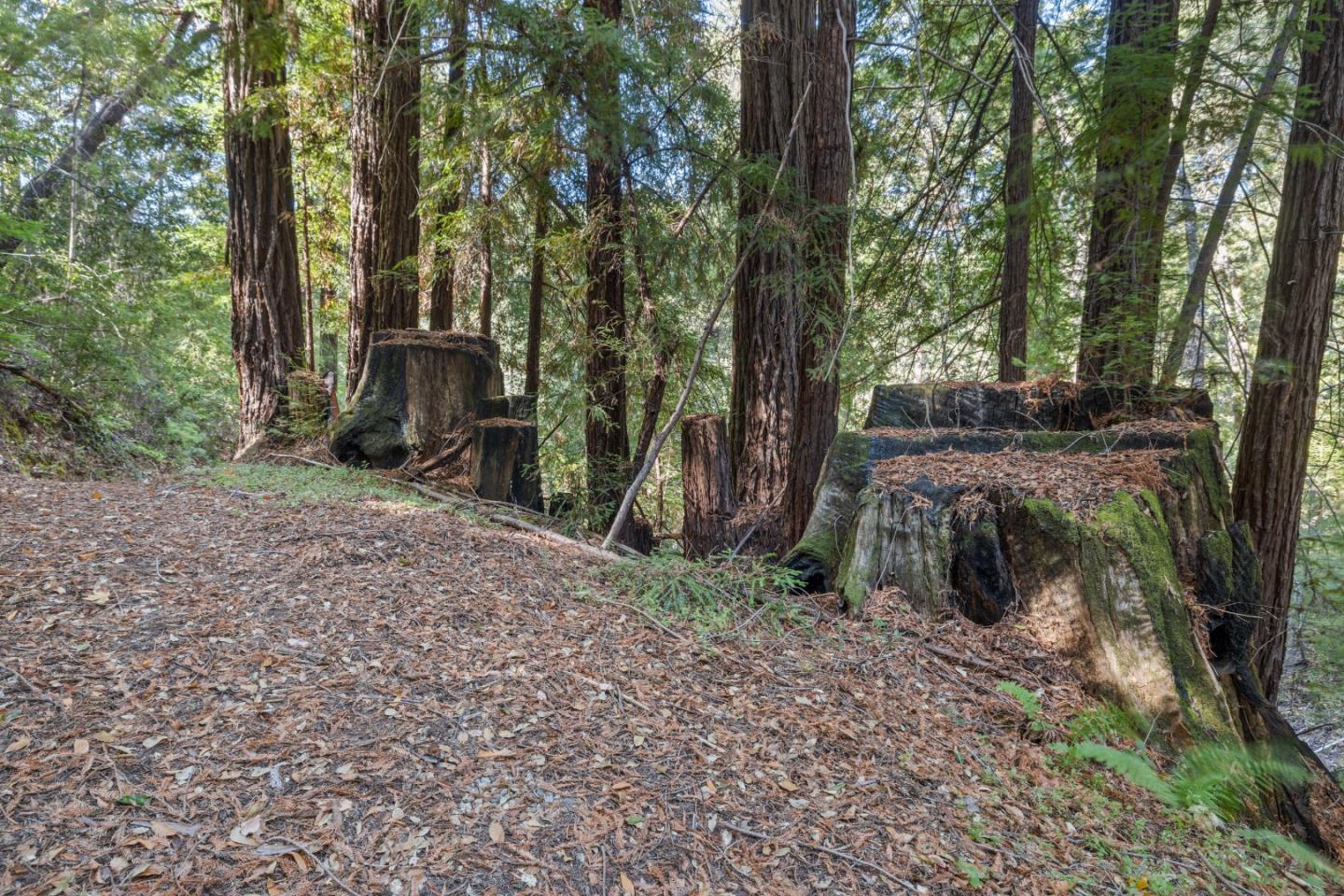 19900 Kings Creek RD