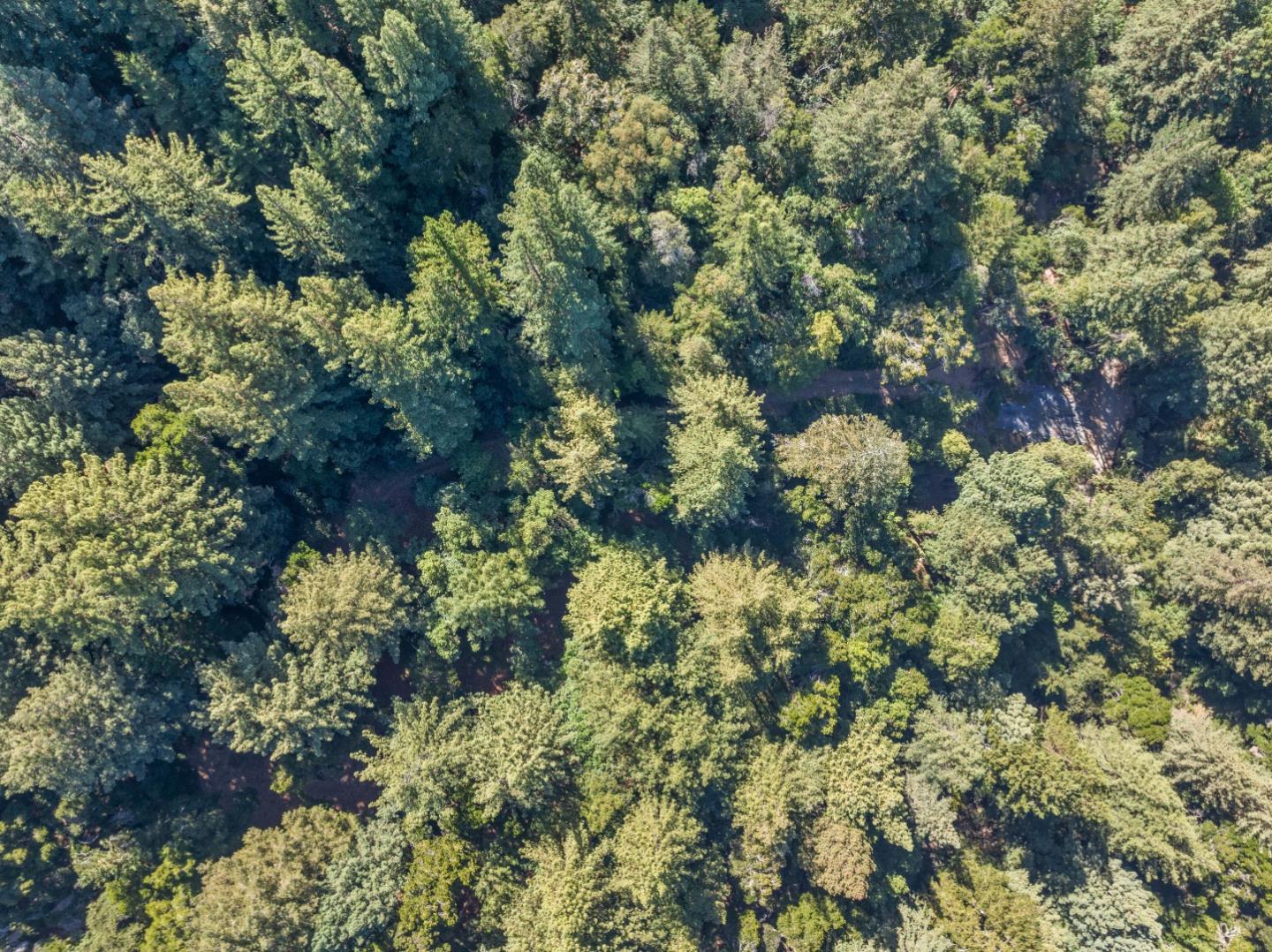 19900 Kings Creek RD