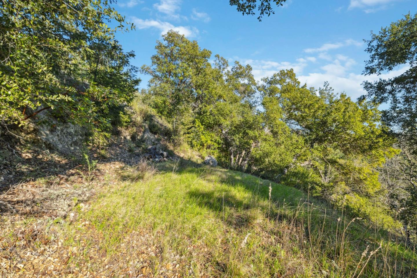 0 Hartman Creek