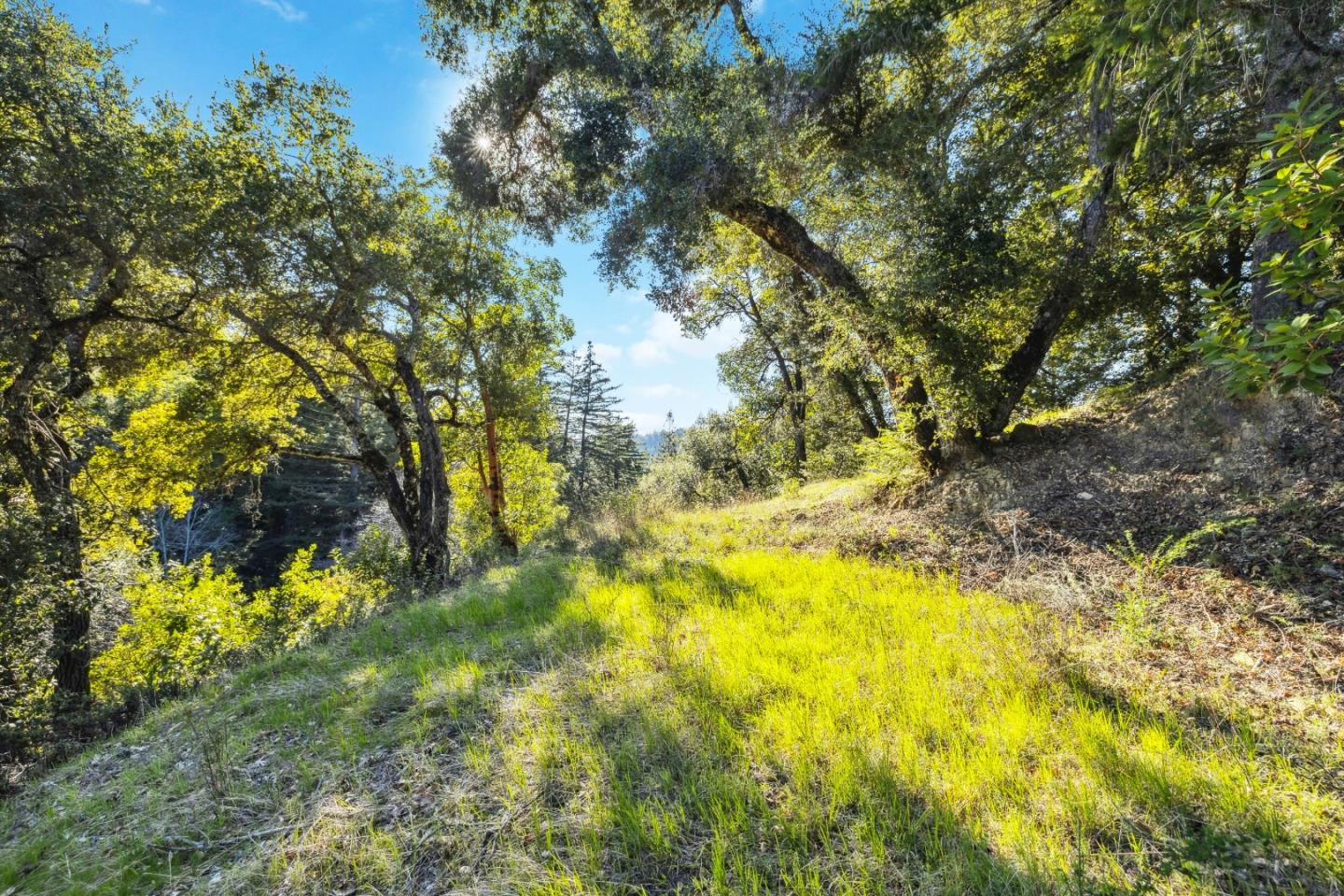 0 Hartman Creek