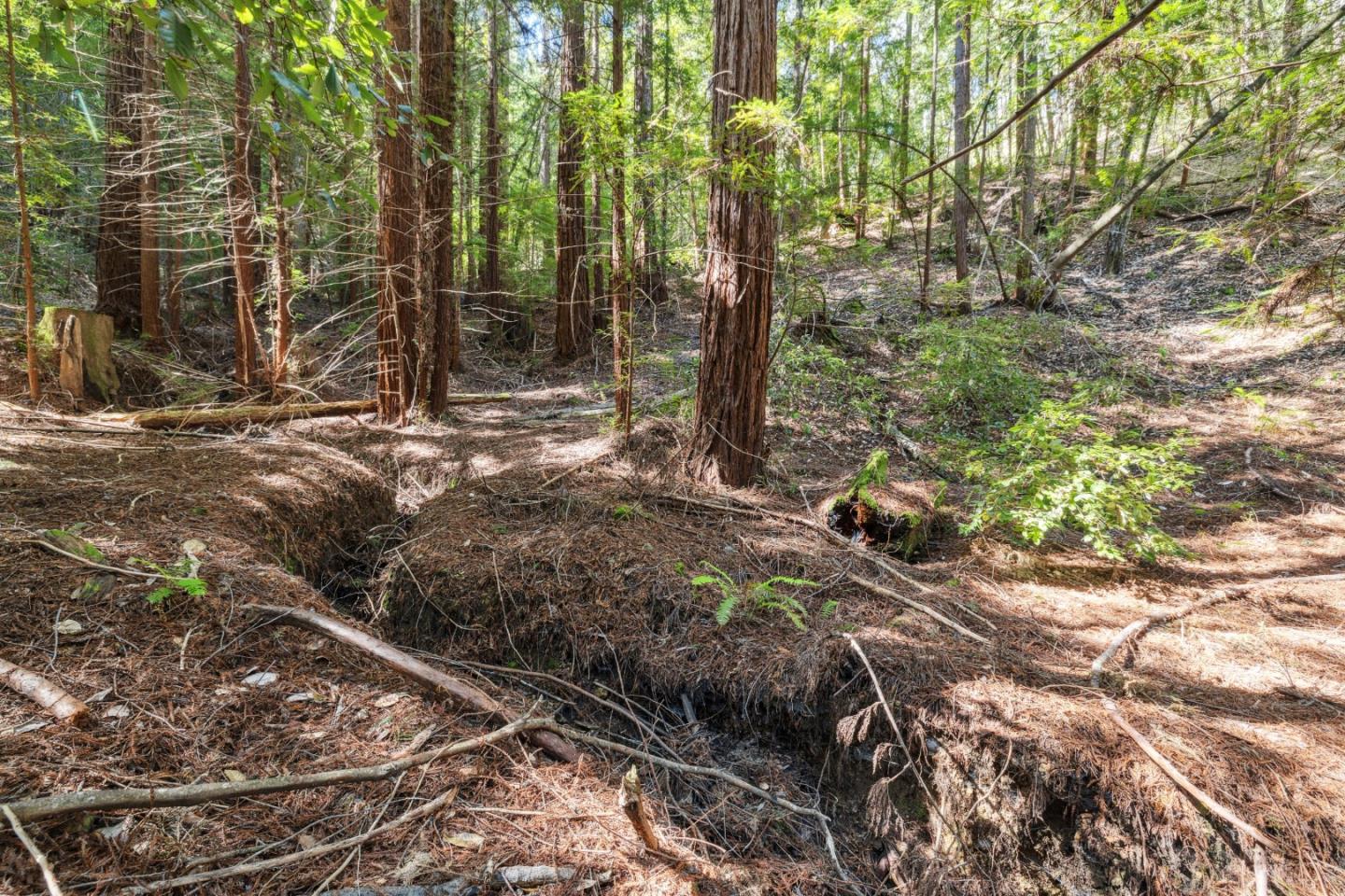 Lot 01 Hubbard Gulch