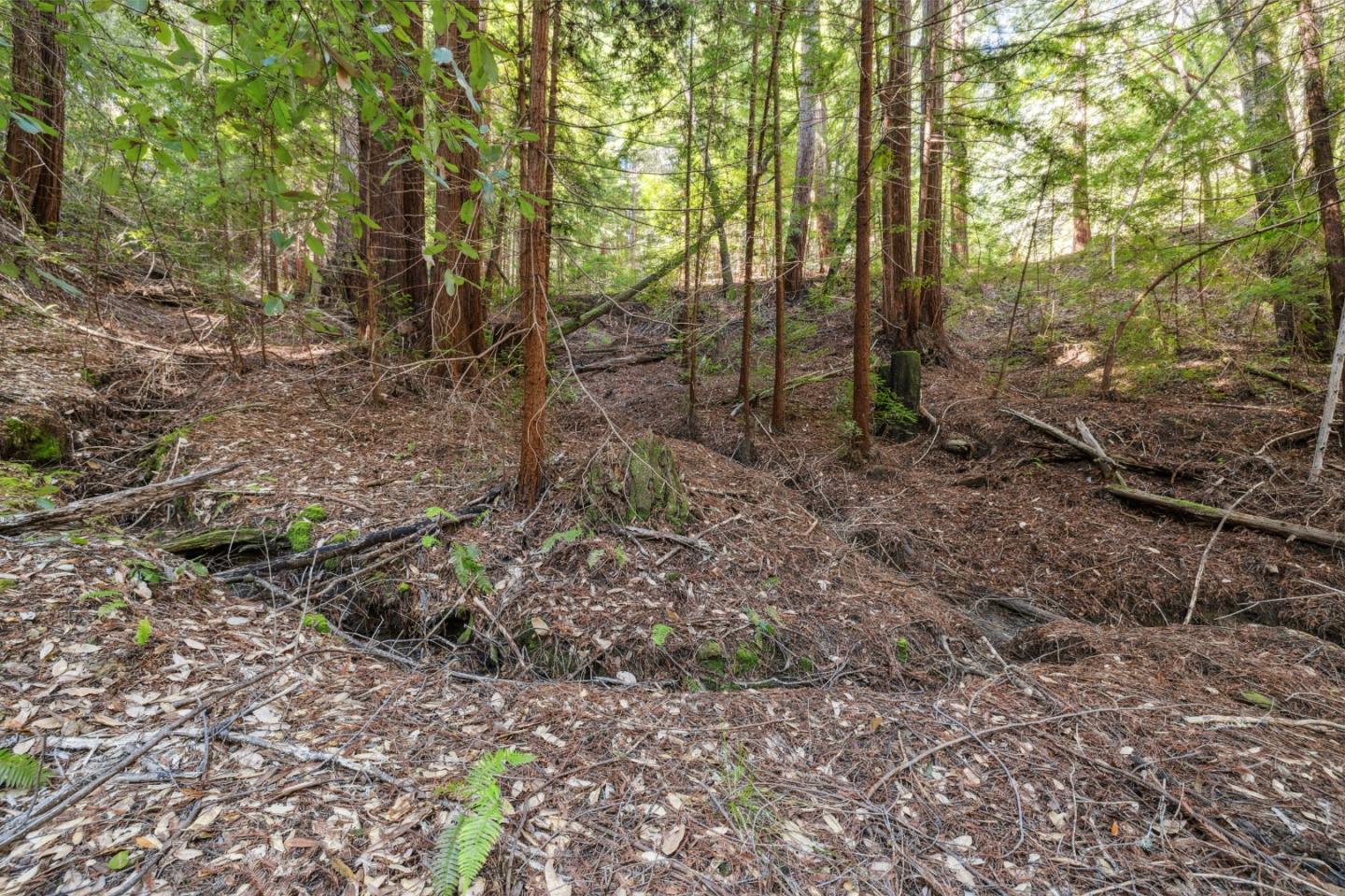 Lot 01 Hubbard Gulch