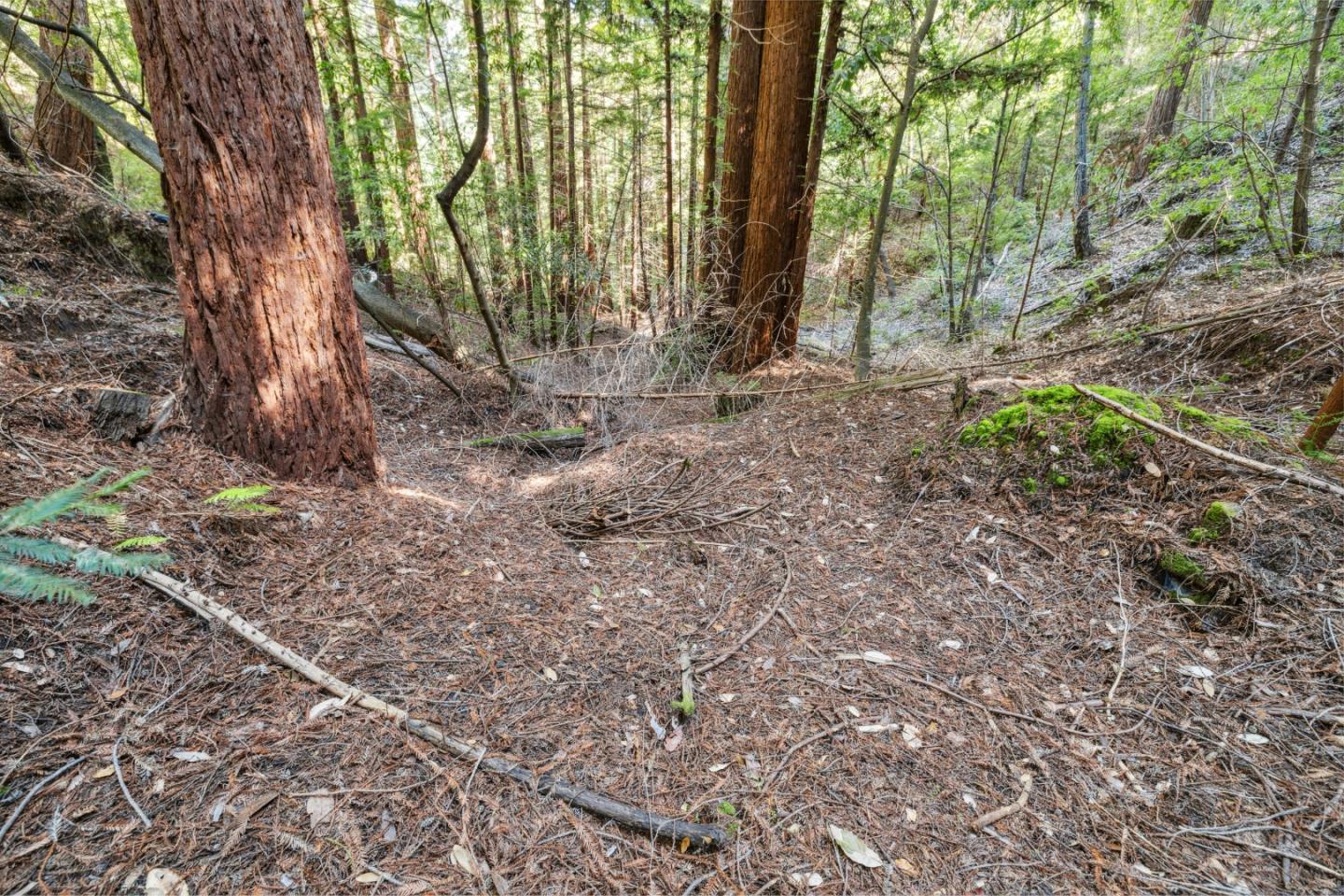 Lot 01 Hubbard Gulch