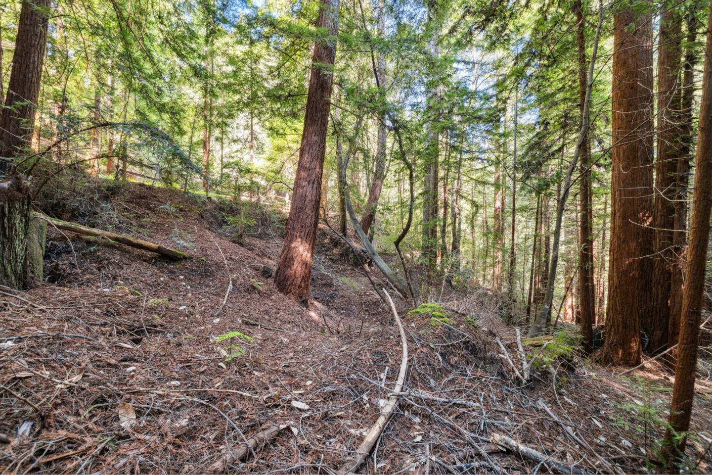 Lot 01 Hubbard Gulch