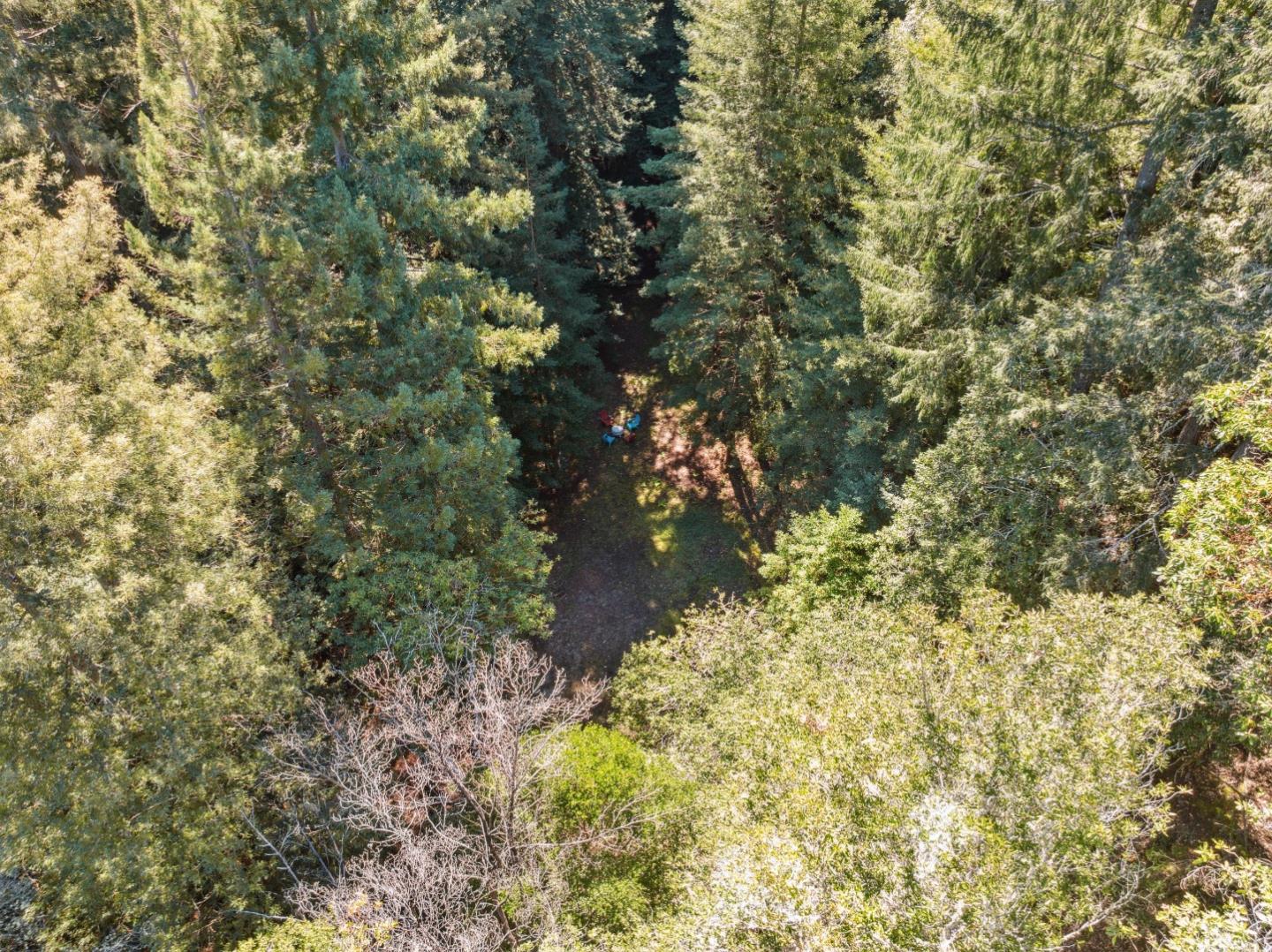 Lot 01 Hubbard Gulch