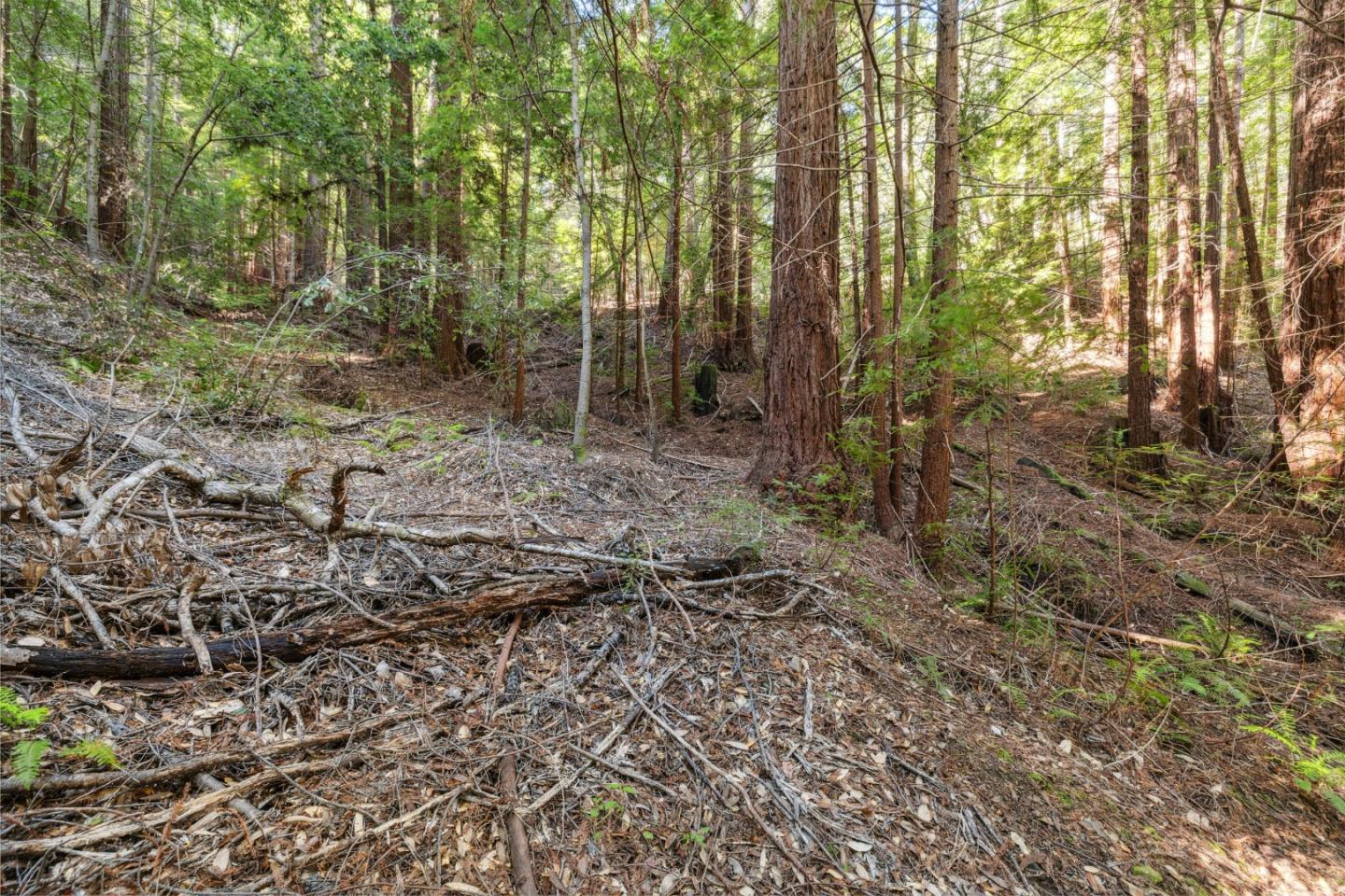 Lot 01 Hubbard Gulch