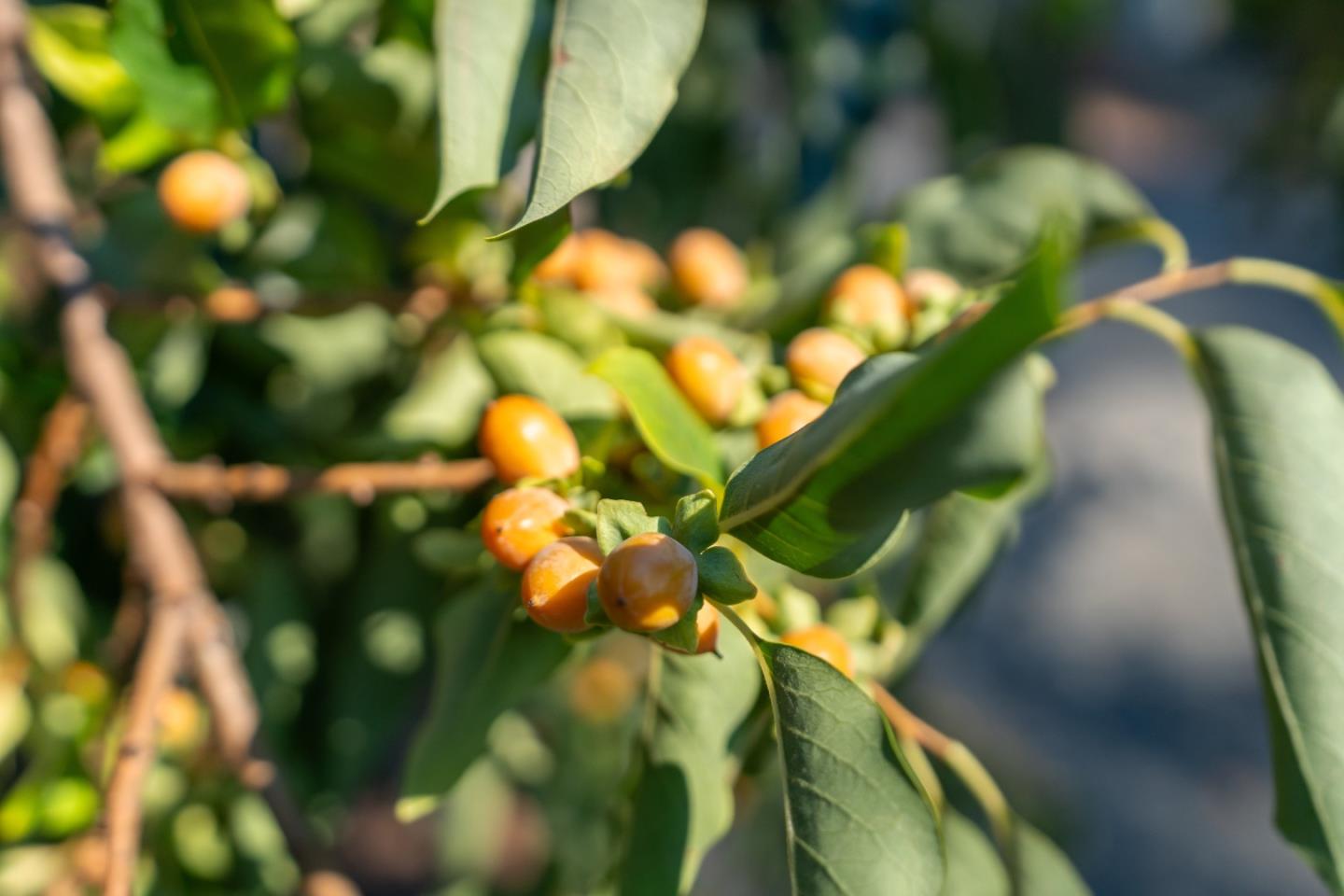 15840 Old County Highway