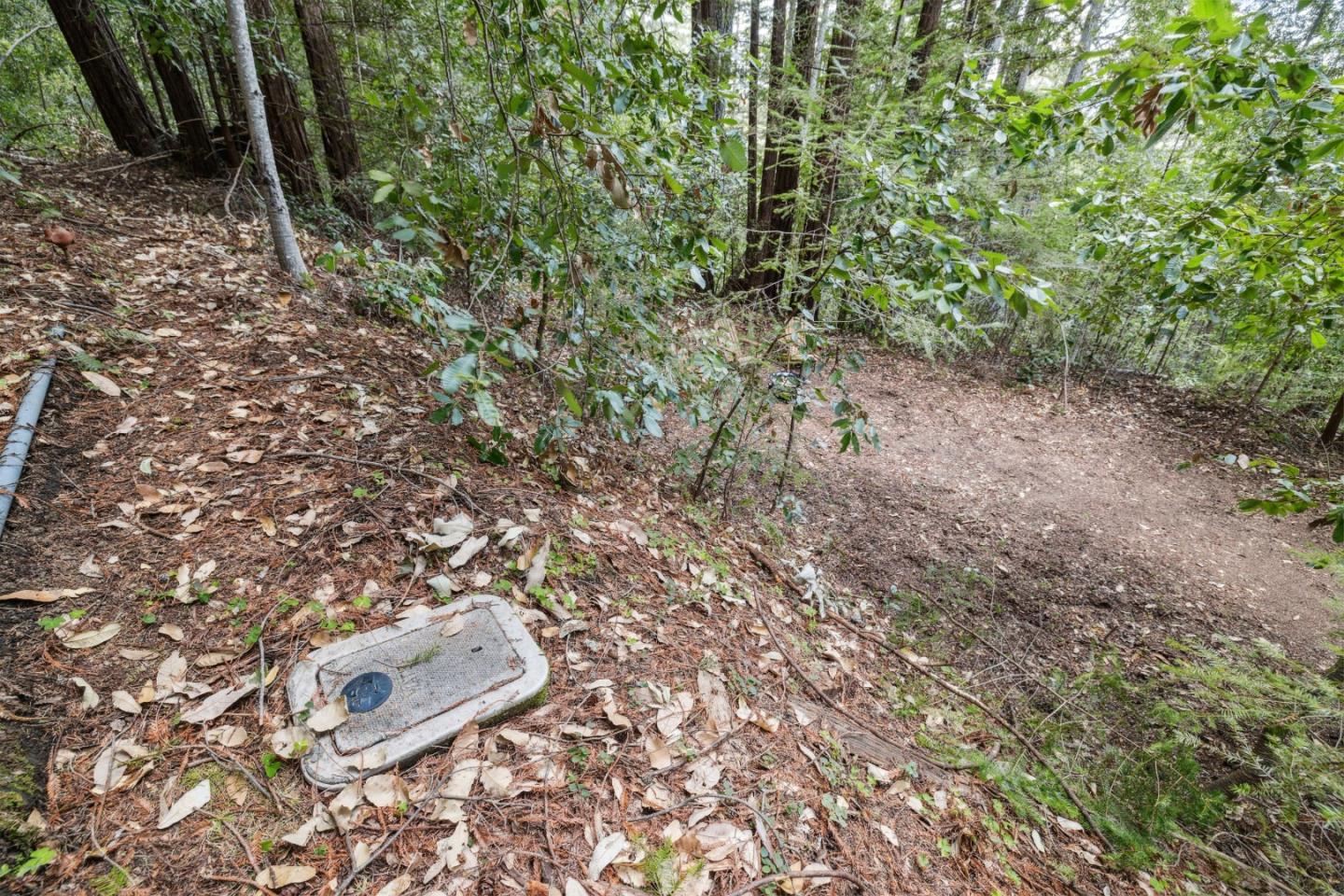 1365 Caledonia Avenue