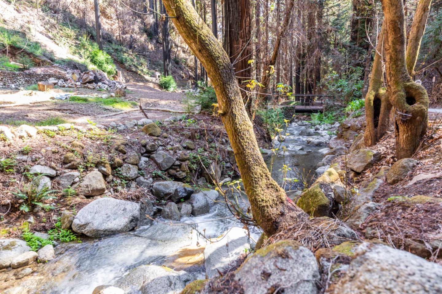 11810 Clear Creek