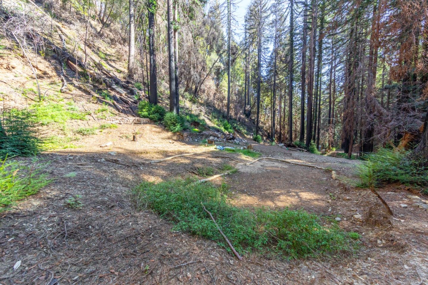 11810 Clear Creek