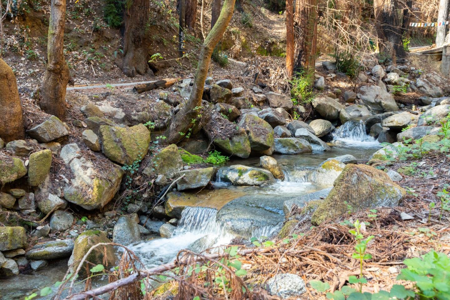 11810 Clear Creek