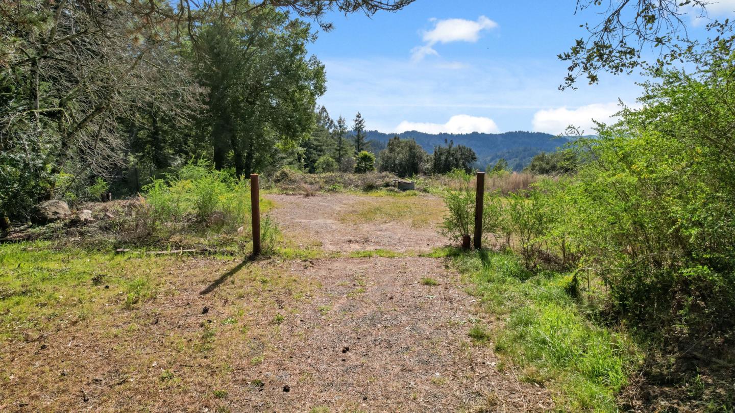 22981 Highway 17