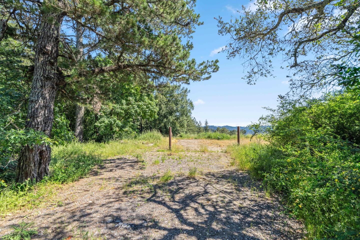 22981 Highway 17