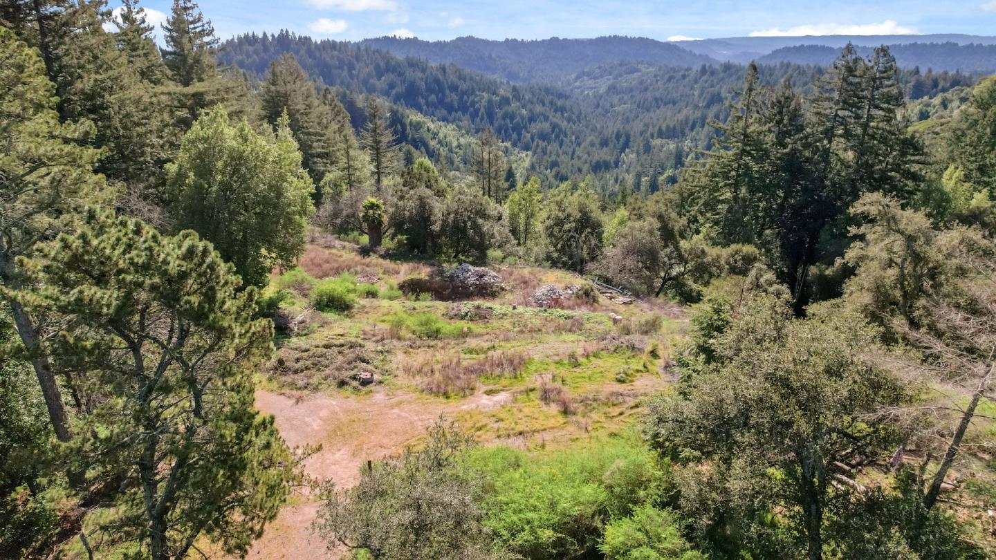 22981 Highway 17