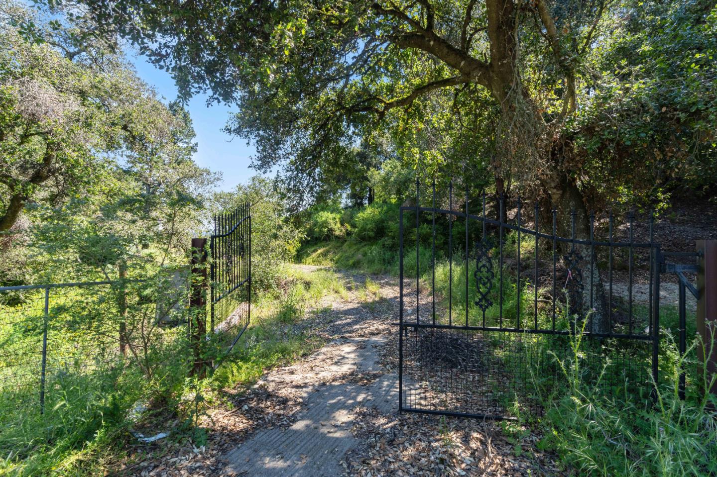 22981 Highway 17