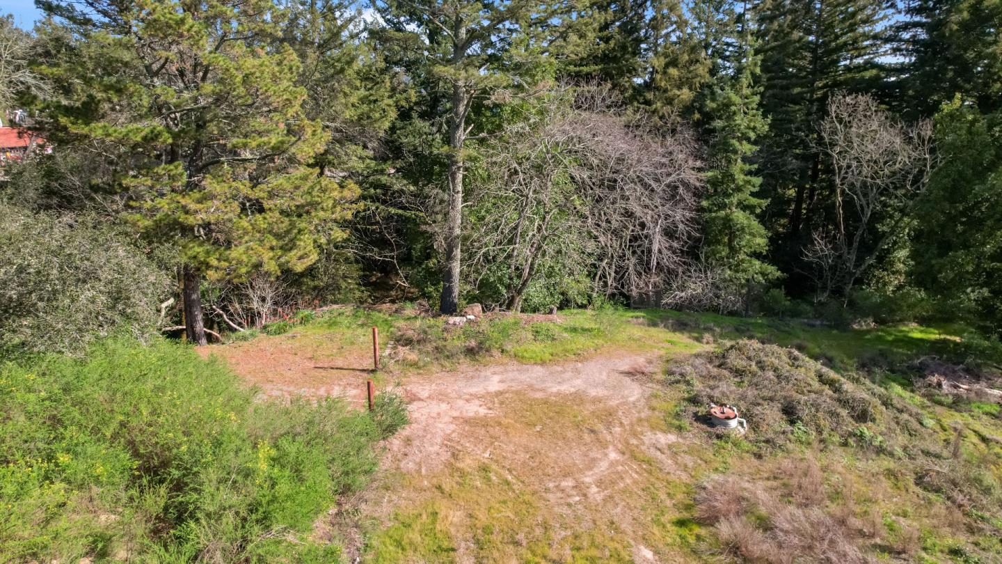 22981 Highway 17