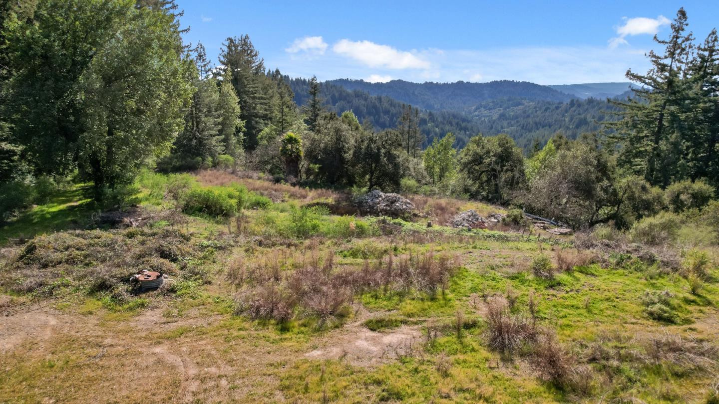 22981 Highway 17