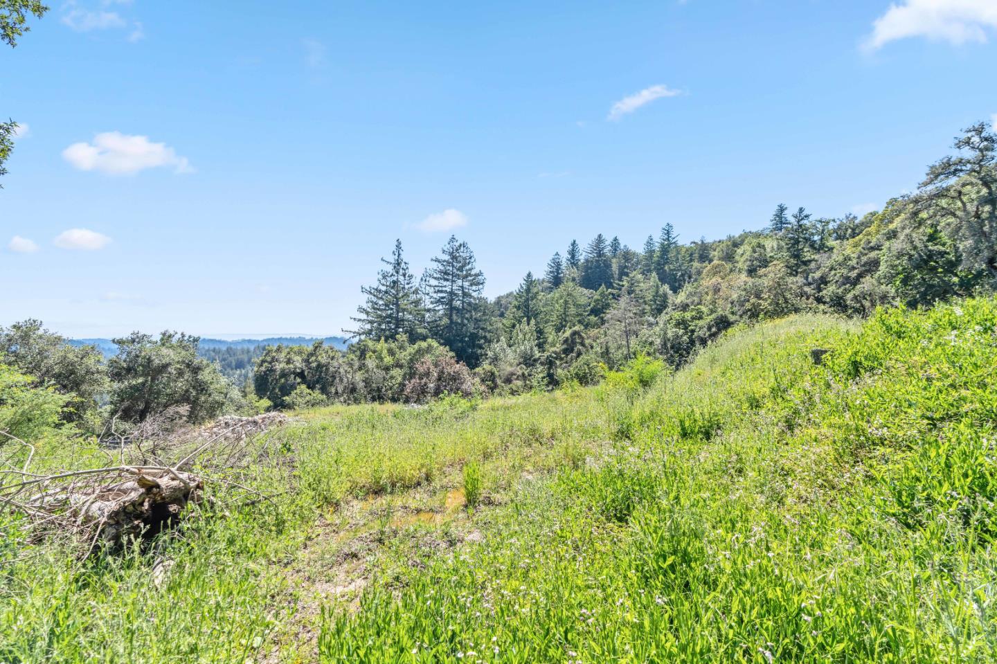 22981 Highway 17