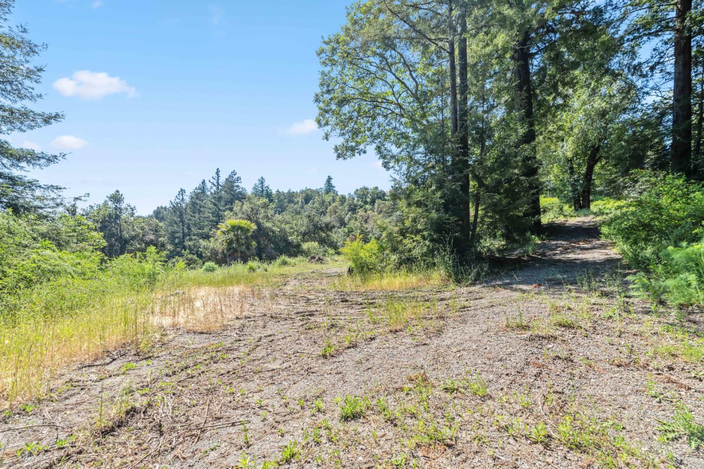22981 Highway 17