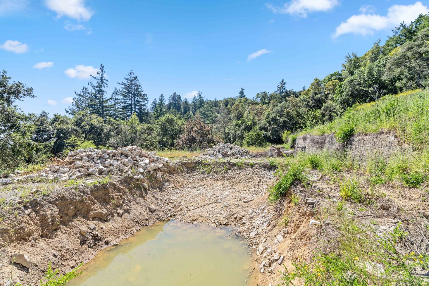 22981 Highway 17