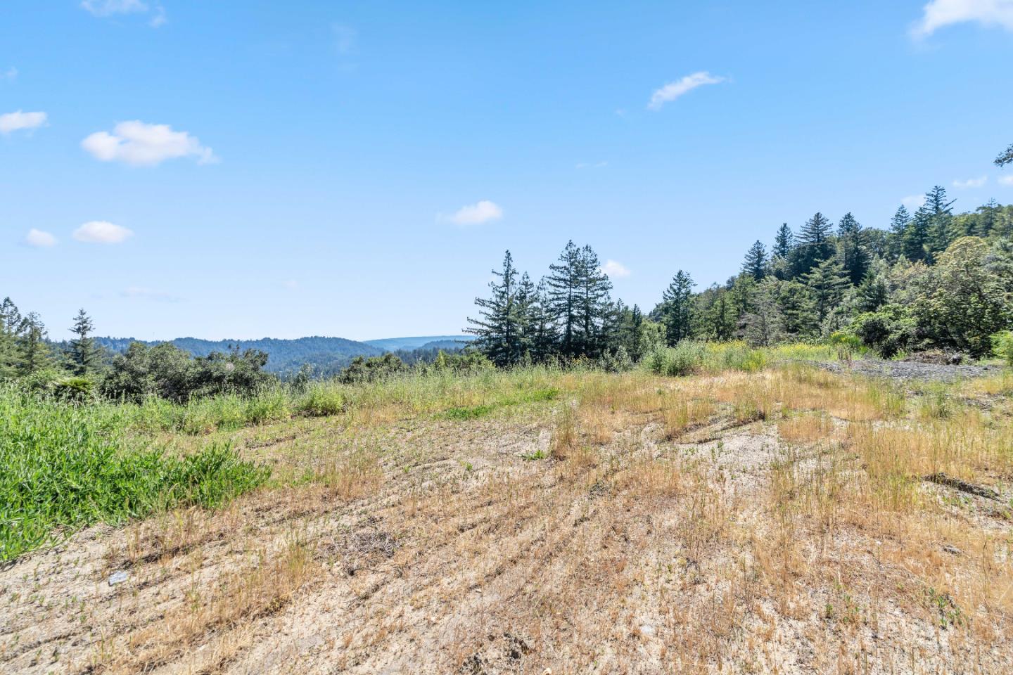 22981 Highway 17