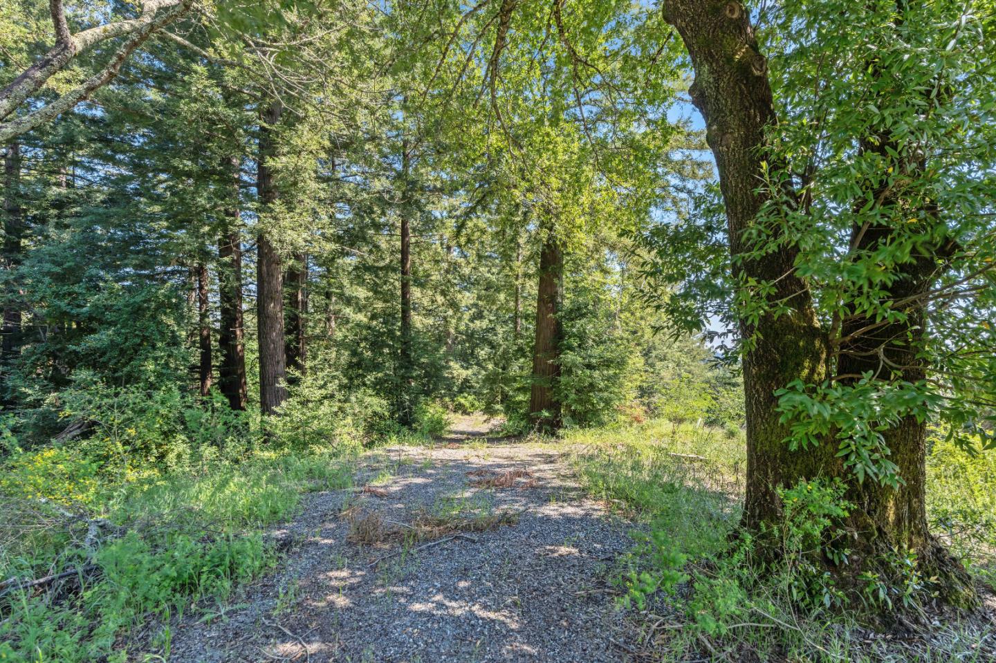 22981 Highway 17