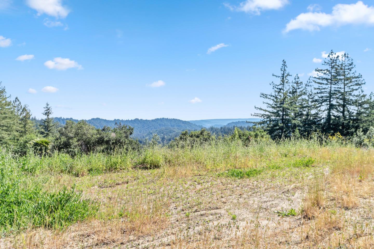 22981 Highway 17