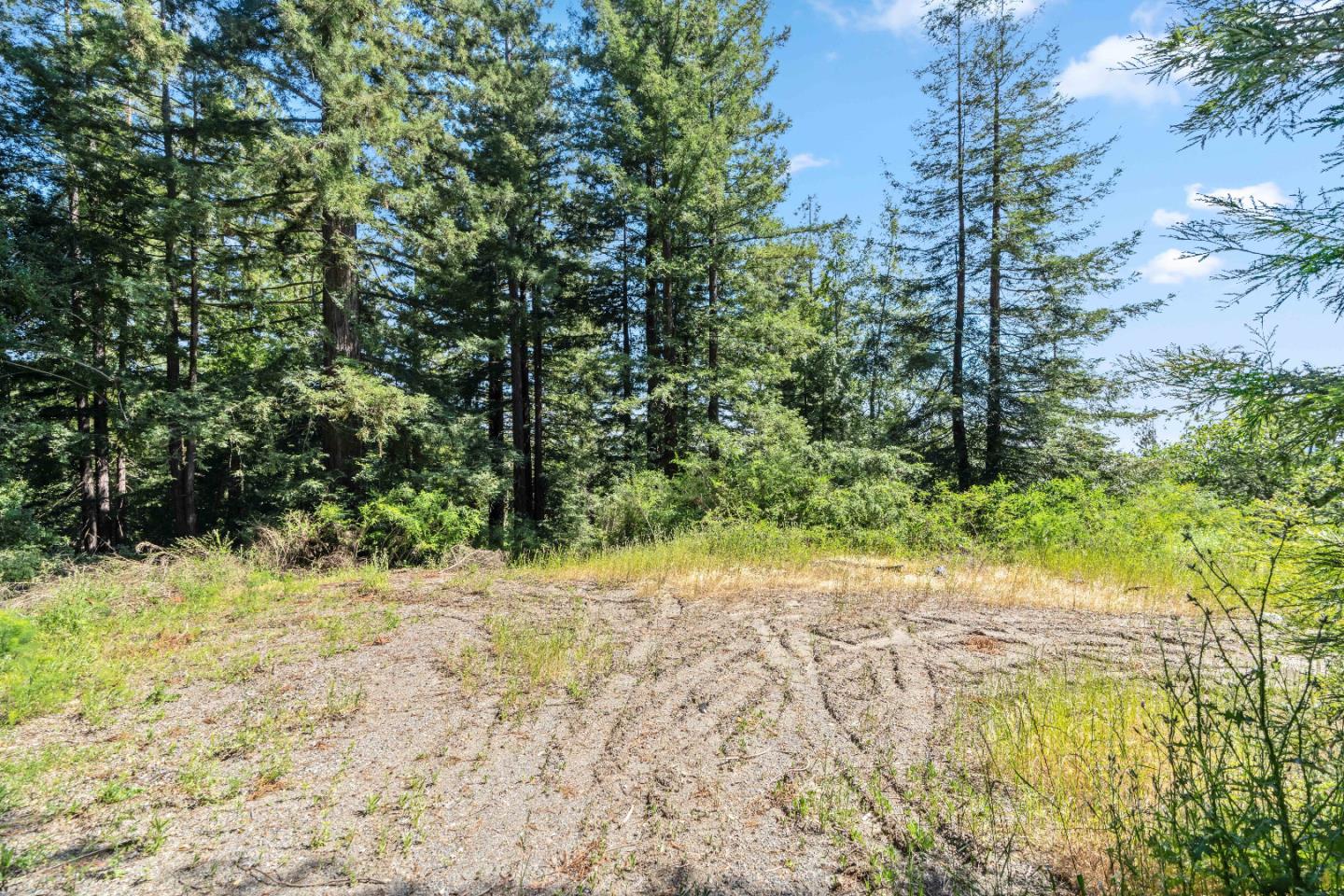 22981 Highway 17