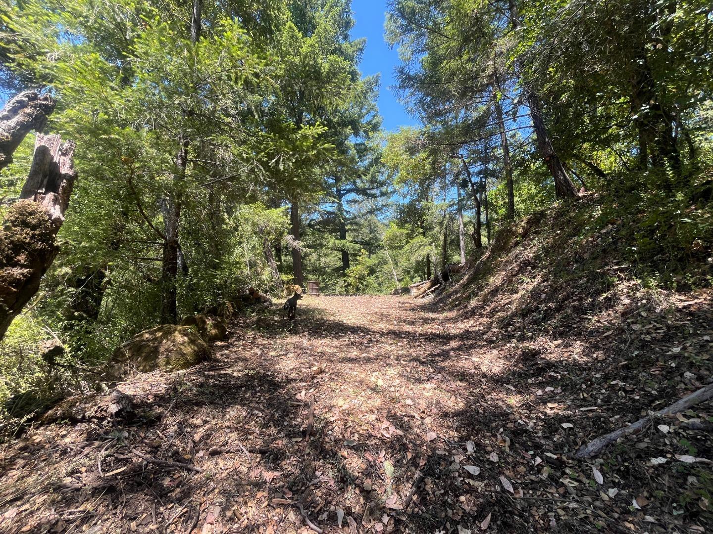 0 Deer Creek (Lot 21)