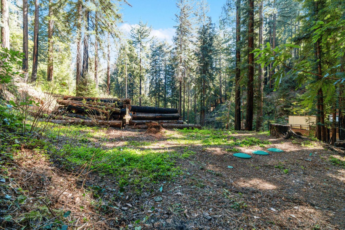 11800 Clear Creek Road